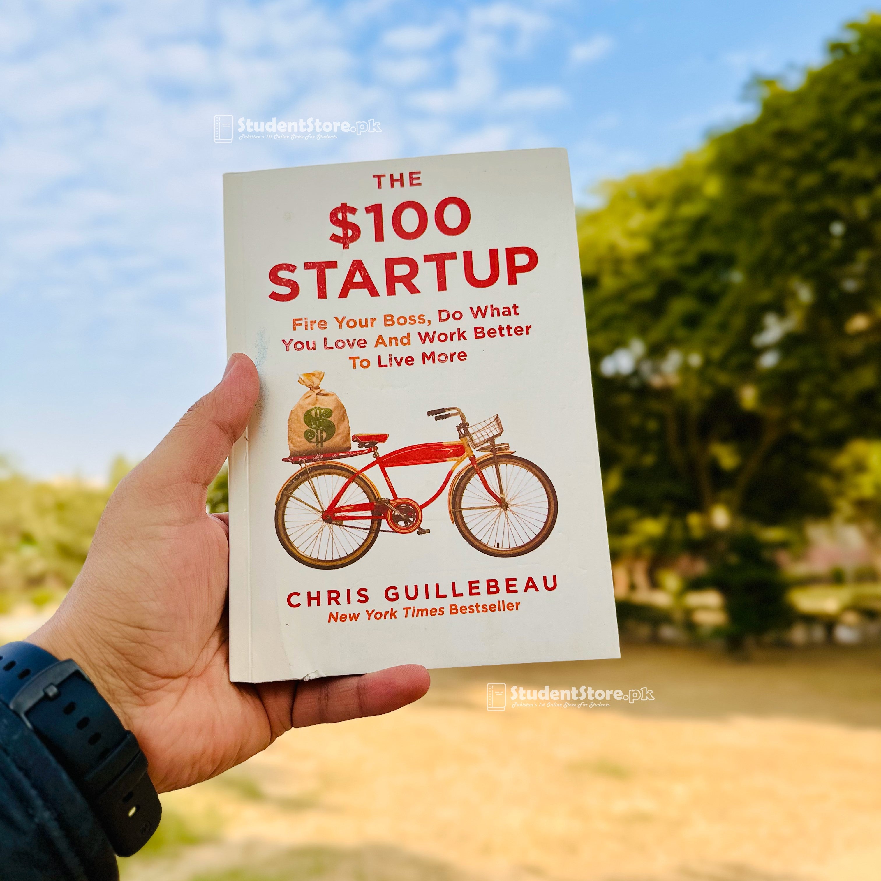 The $100 Startup By Chris Guillebeau