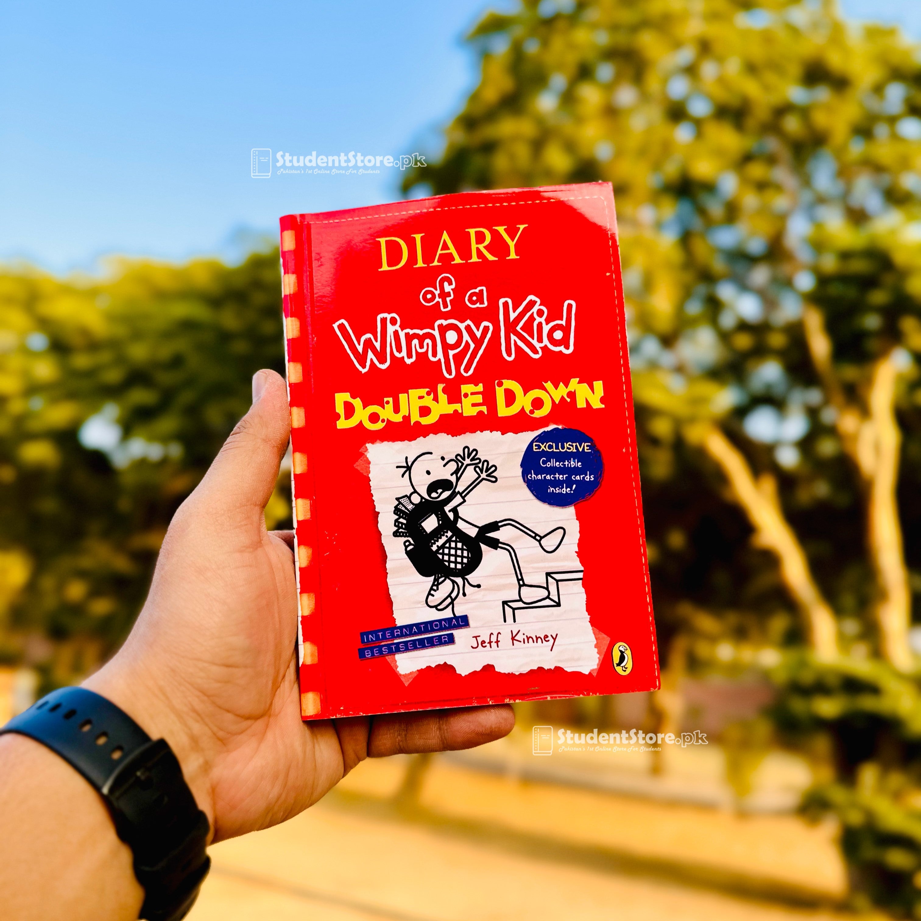 Diary Of A Wimpy Kid - Double Down By Jeff Kinney